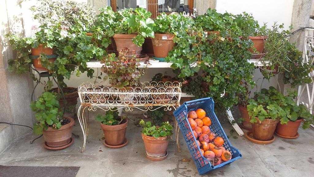 Villa Maria Bed & Breakfast, Corridonia, Marche מראה חיצוני תמונה