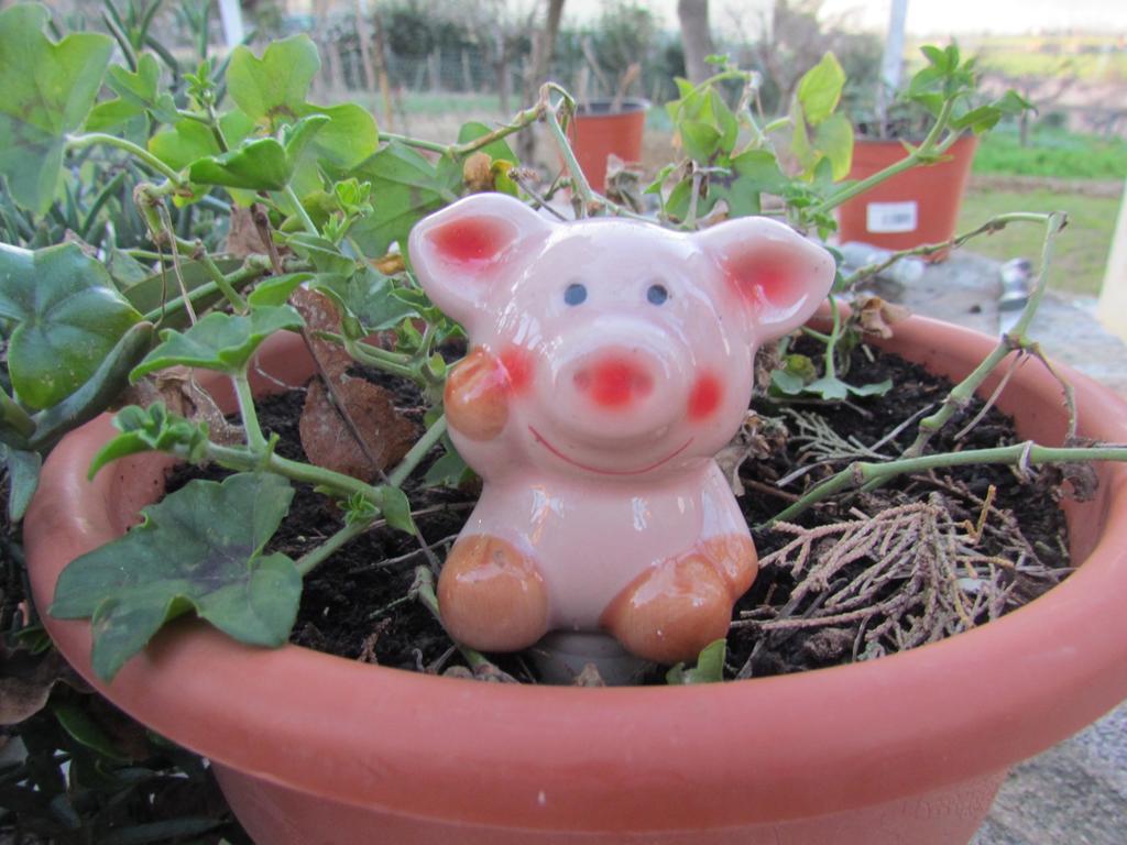 Villa Maria Bed & Breakfast, Corridonia, Marche מראה חיצוני תמונה